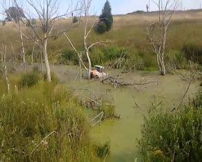 Впервые Дмитровский район принял Кубок области по трофи-рейдам 