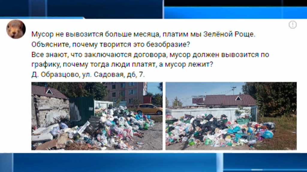 Экспресс-новости: прямой эфир "Зеленой рощи" вызвал массу гневных комментариев орловчан, обнаружена очередная убитая дорога, а неадеквата, бросившего подростка об землю, привлекли к административной ответственности