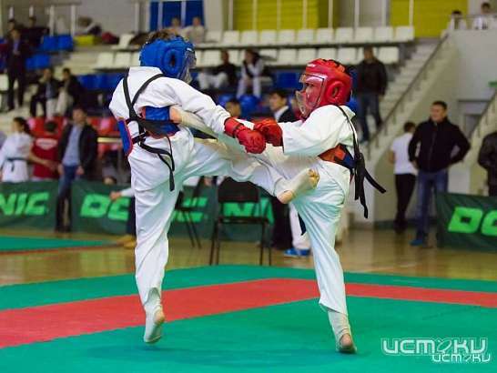 В Орле пройдет Чемпионат и Первенство Орловской области по всестилевому каратэ В Орле пройдет Чемпионат и Первенство Орловской области по всестилевому каратэ