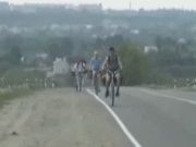 Приключенческие X - гонки