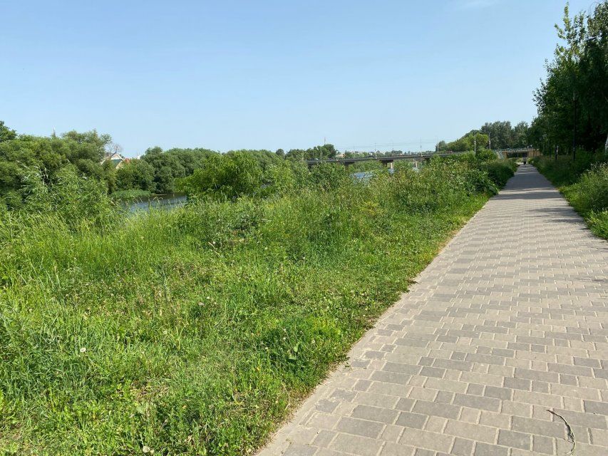 В Орле в районе Козьего парка заросла набережная