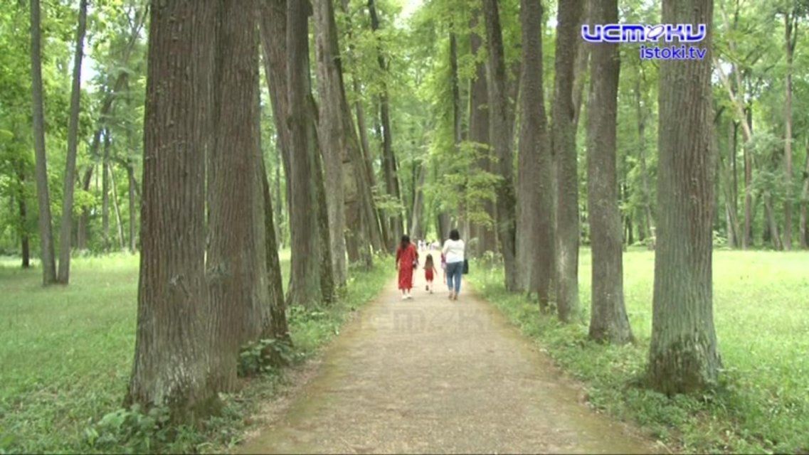 Режим самоизоляции пошел на пользу: как обновился музей-заповедник «Спасское-Лутовиново»