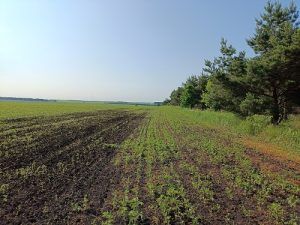 В Орловской области ликвидировали семь свалок с отходами производства