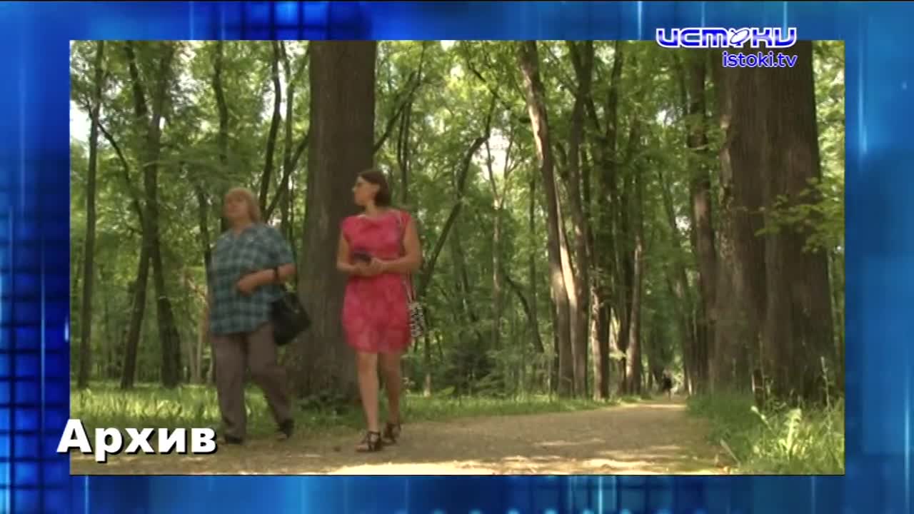 Зубры на площади Ленина. Экспресс - новости.