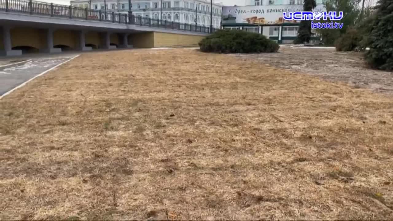 Прокуратура проследит за обеспечением жизненно важным препаратом онкобольной орловчанки, о которой рассказала Ксения Собчак, на ул. Орловских партизан...