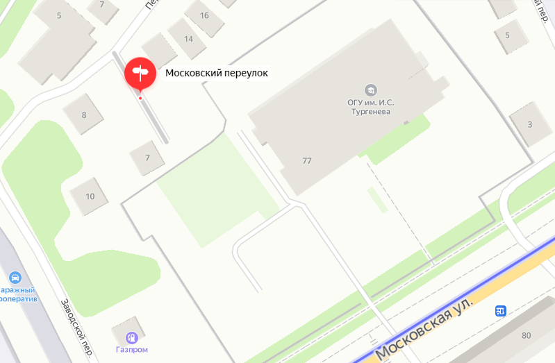 Орловские журналисты нашли улицу из одного дома