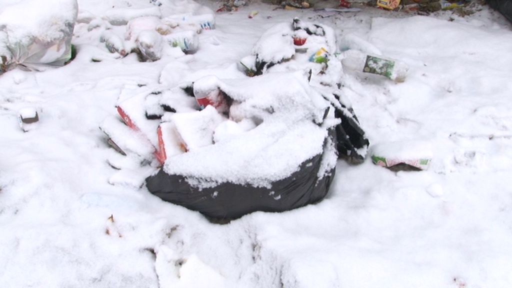 В Орловской области селянам разрешили не оплачивать квитанции, если мусор не вывозят 