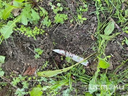 Житель Северного района Орла надолго лишился свободы за убийство знакомого 