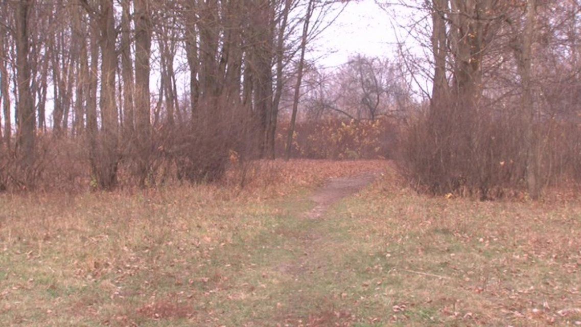 Ветеран труда просит орловчан проголосовать за всеми забытый парк Победы