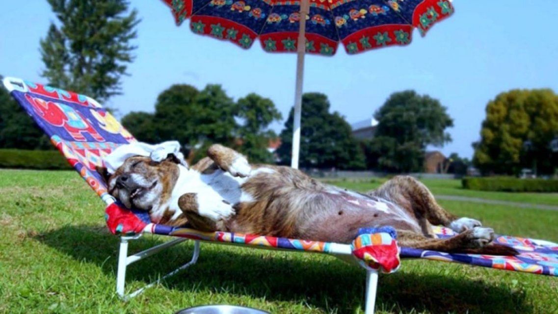В Орел вернулись солнце и жара