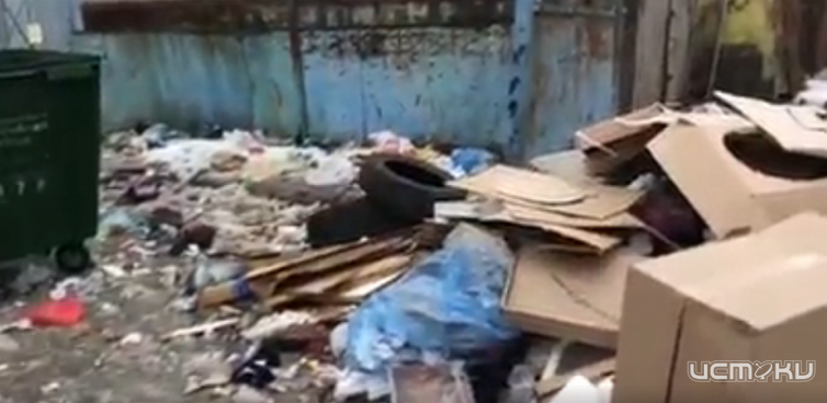 УК "Зеленая роща" в очередной раз сделала свою работу только после публикации медиахолдинга "Истоки"