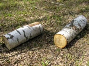 Пьяный сын до смерти избил свою мать-пенсионерку