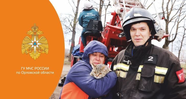 В Орле за сутки спасли двух кошек