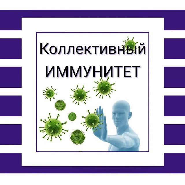 Орловчанам доступно приложение «Коллективный иммунитет», где можно делиться опытом о прохождении вакцинации от ковида