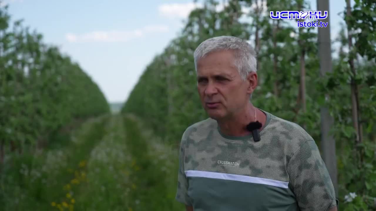 Экспертное мнение 27.05.2026