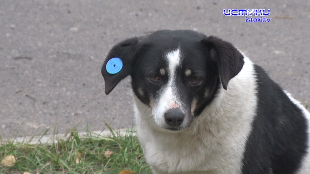 Экспресс-новости: на Сергея Лежнева начали давать показания, после нашего сюжета убрали мусор, а в центре Орла горел автомобиль