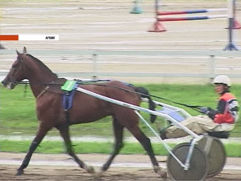 Испытания рысаков на Орловском ипподроме