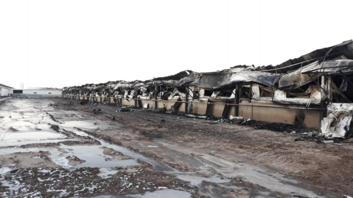 Фоторепортаж: на Орловщине сгорел строящийся свинокомплекс