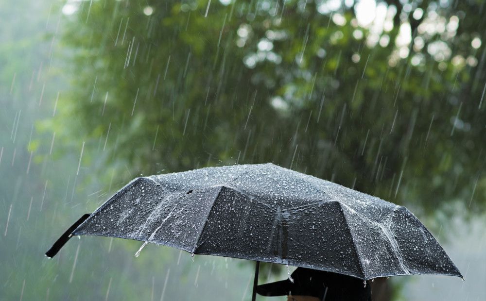 Холода и дожди пришли в Орел