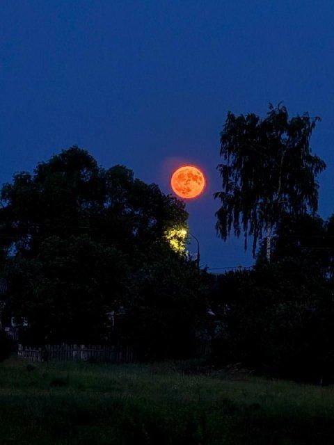 Жители Орловской области наблюдали «клубничную» луну