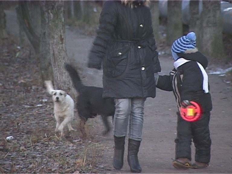 Бродячая проблема