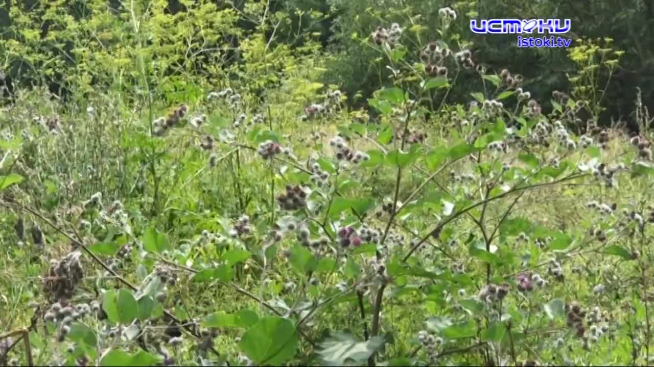 В Орле завершается реконструкция парка Победы. Объект уже прошел приемку, но работы продолжаются