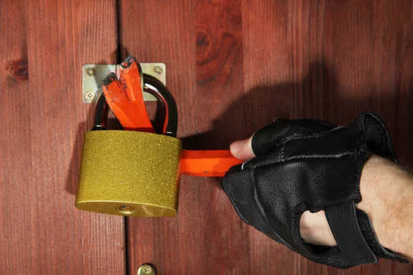 Двое орловчан обворовали дачников и попались через полгода