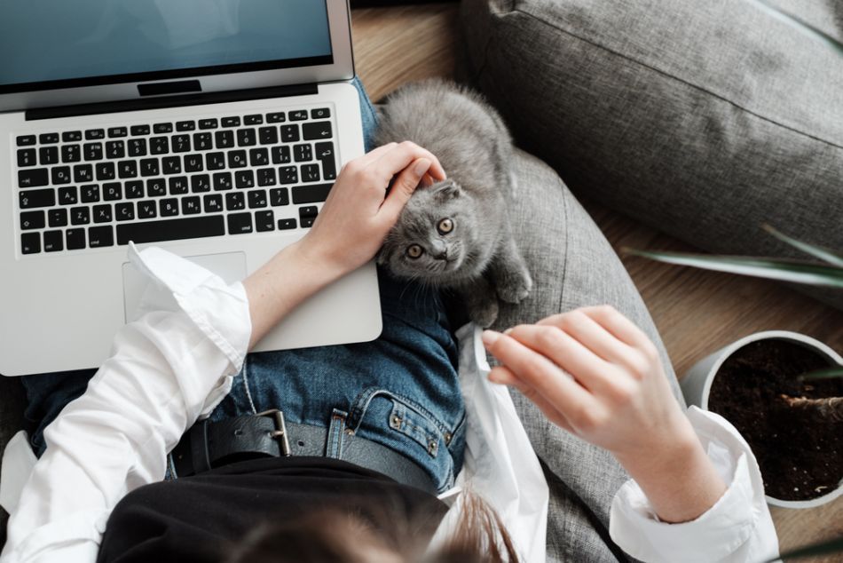 Английский для начинающих с нуля