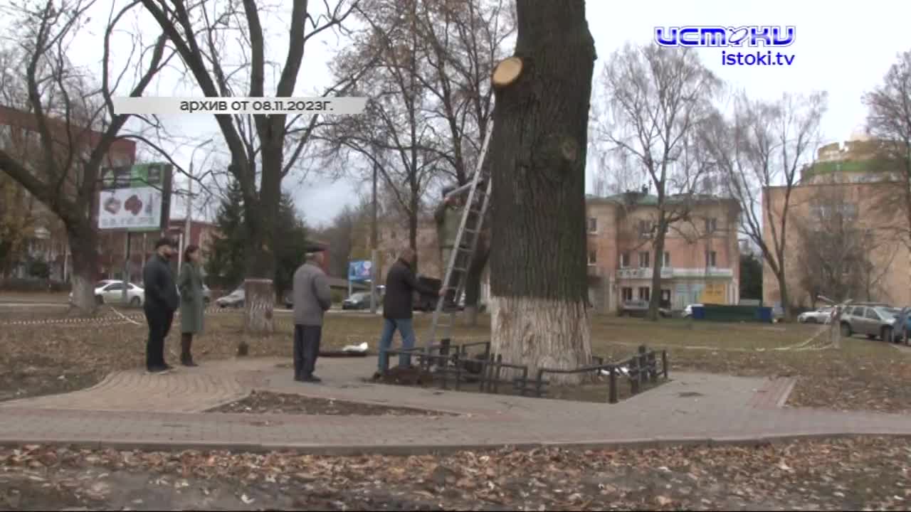 Дубу дали шанс на жизнь. После вмешательства активистов решение мэрии о спиле исторического дуба на Бульваре Победы отменили. Расскажем про это и исто...