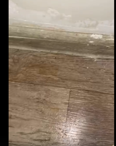 Глазами очевидцев: орловчанка показала потоп в своей квартире