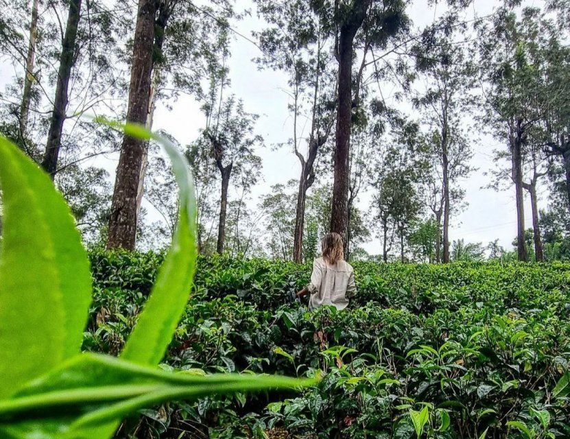 Орловцы предпочли для отдыха в майские праздники страны Азии и Африки