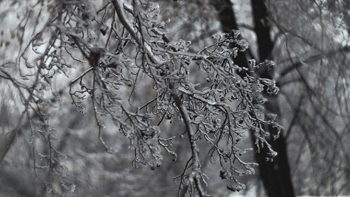 Снег с дождем и ветер: сегодня орловчанам пригодится зонт