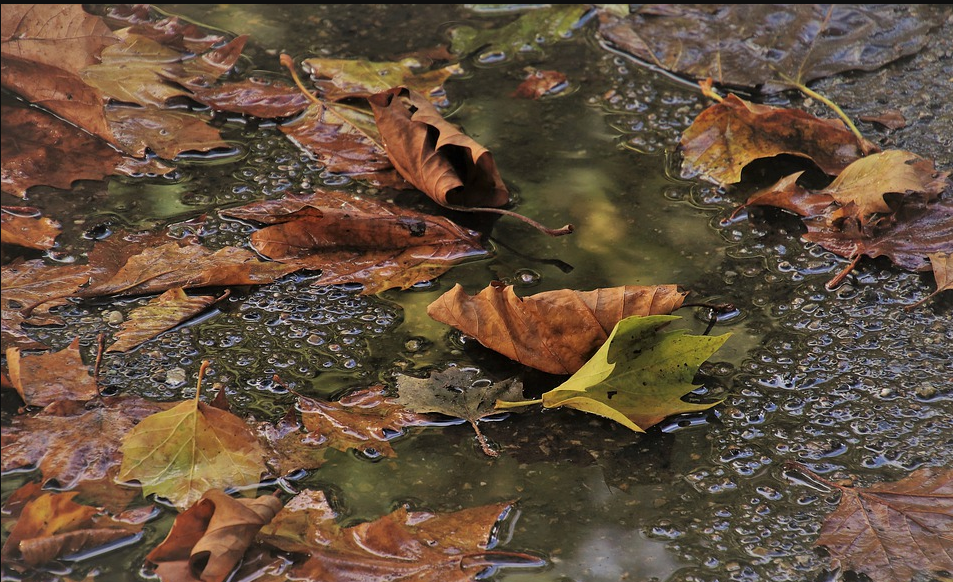 Орловчан предупредили о дождях