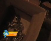Вывели на чистую воду: у амчанина нашли почти 800 литров паленого алкоголя