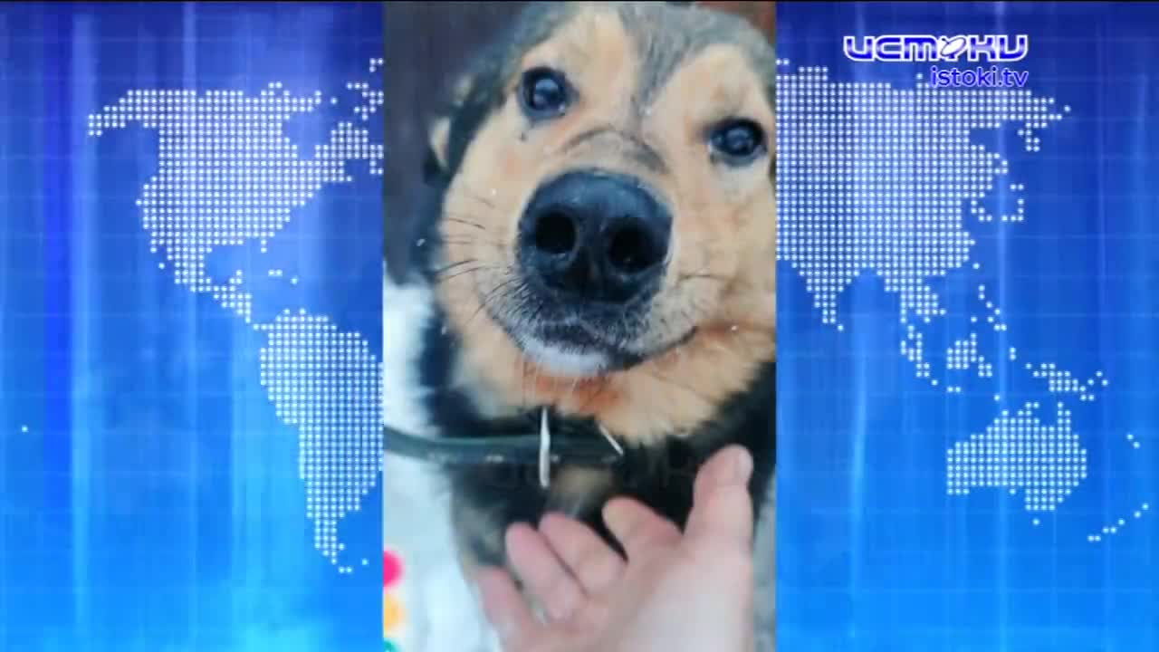 Оттепель и снег с дождем: синоптики рассказали о погоде в Орле