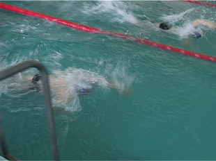 Наши надежды в плавании 