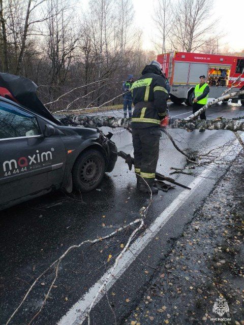 Шквалистый ветер в орловском регионе оставил после себя неприятности