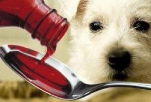 В Хабаровском крае выводят из продажи некачественные орловские лекарства для животных