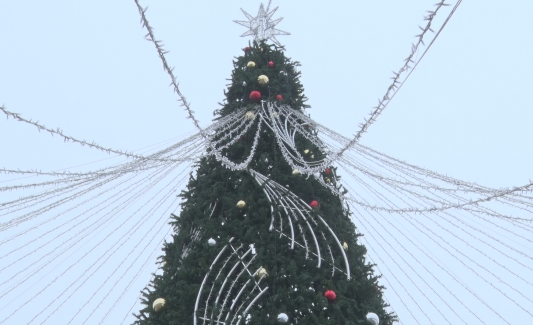 Хоббихорсинг, снежные бои...Сегодня-праздник у Татьян и студентов