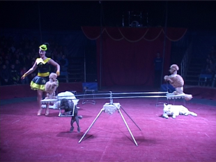 Волшебное шоу от цирка- шапито "Империалъ" 