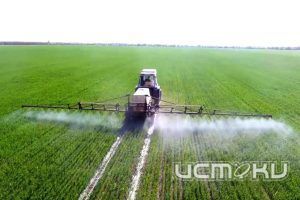 Россельхознадзор выявил нарушения при использовании пестицидов в Орловской области Россельхознадзор выявил нарушения при использовании пестицидов в Орловской области