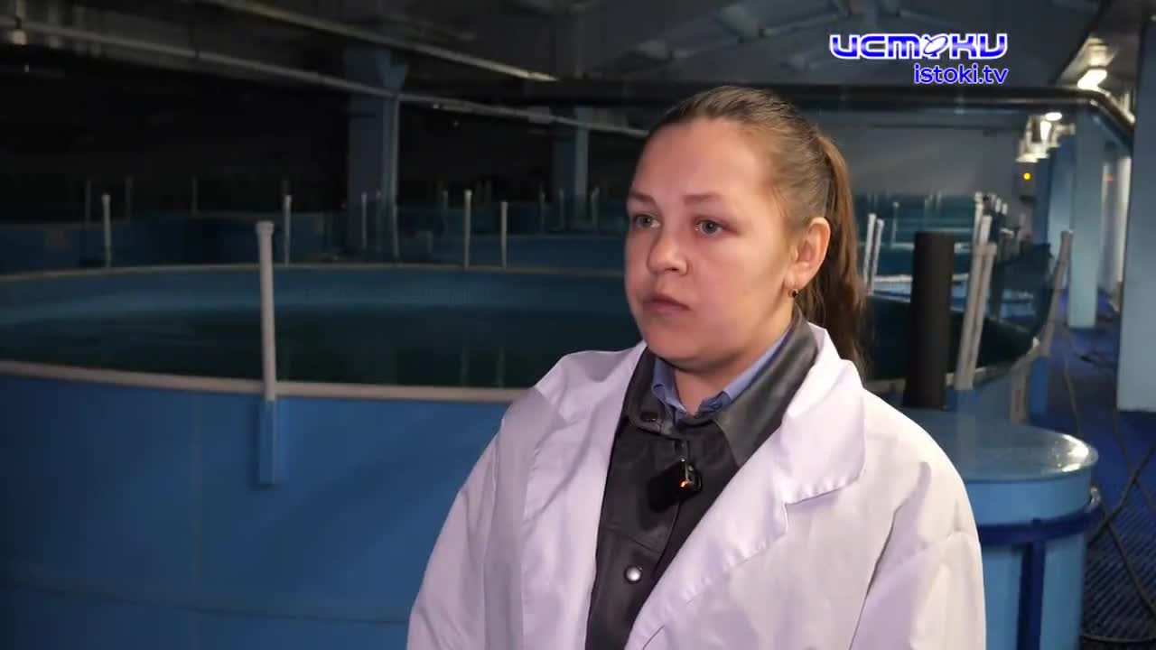 Экспертное мнение 18.02.2026