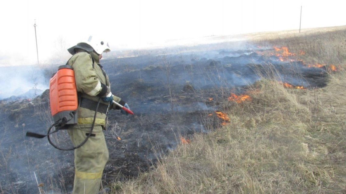 За костры в лесах орловчане заплатили уже более 2 млн рублей