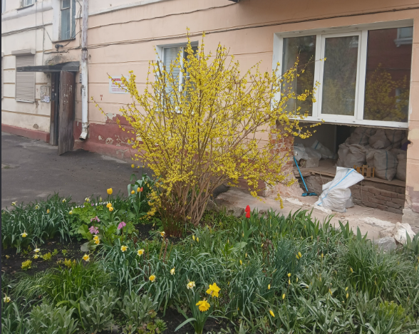 Орловчан беспокоит снос фасадной части стены их дома