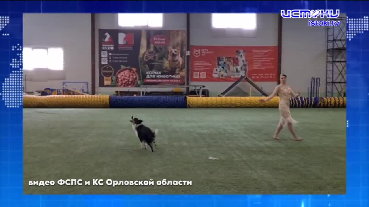 Жилья на Орловщине стало сдаваться заметно меньше