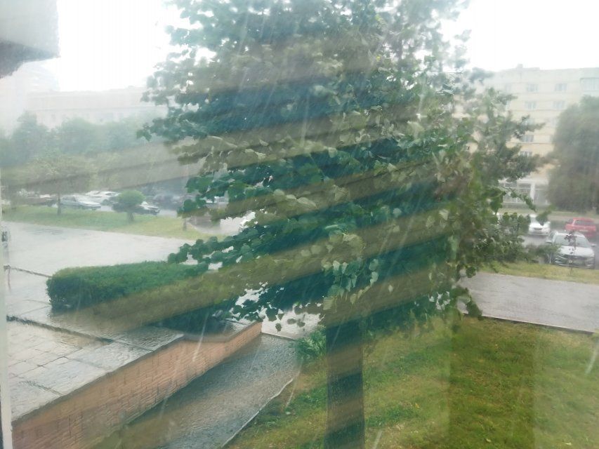 Жителей Орловской области предупреждают о грозах и сильном ветре