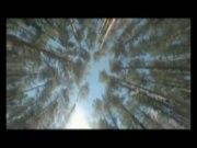 О природе и путешествиях