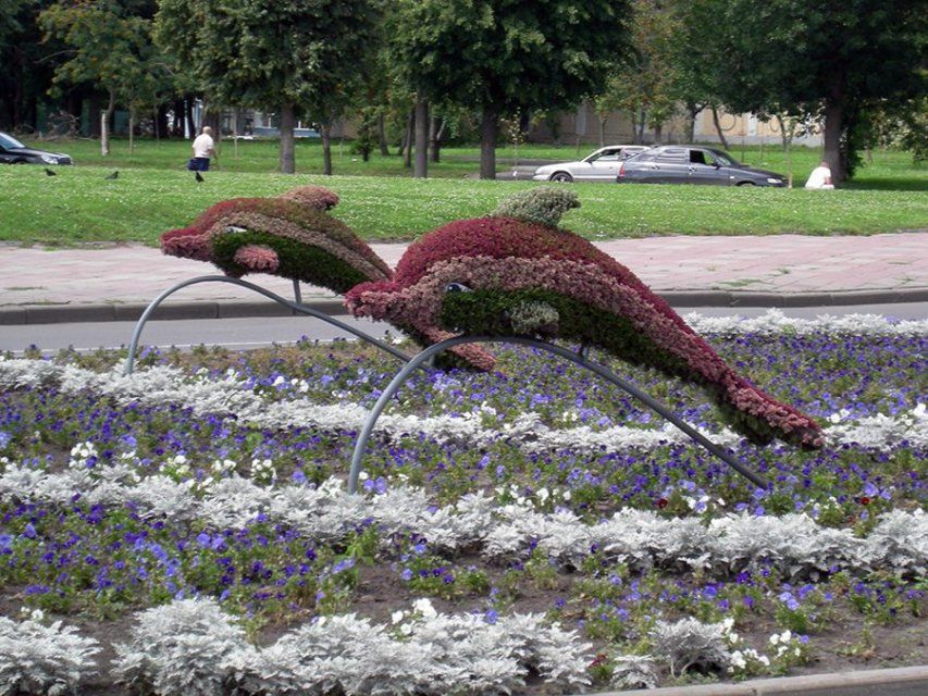 К 1 мая в Орле установят топиарные фигуры