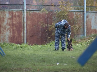 Хвостатые сотрудники полиции из Орла - одни из лучших в стране 