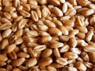 За неисполнение предписания КФХ «Зарница» заплатит штраф